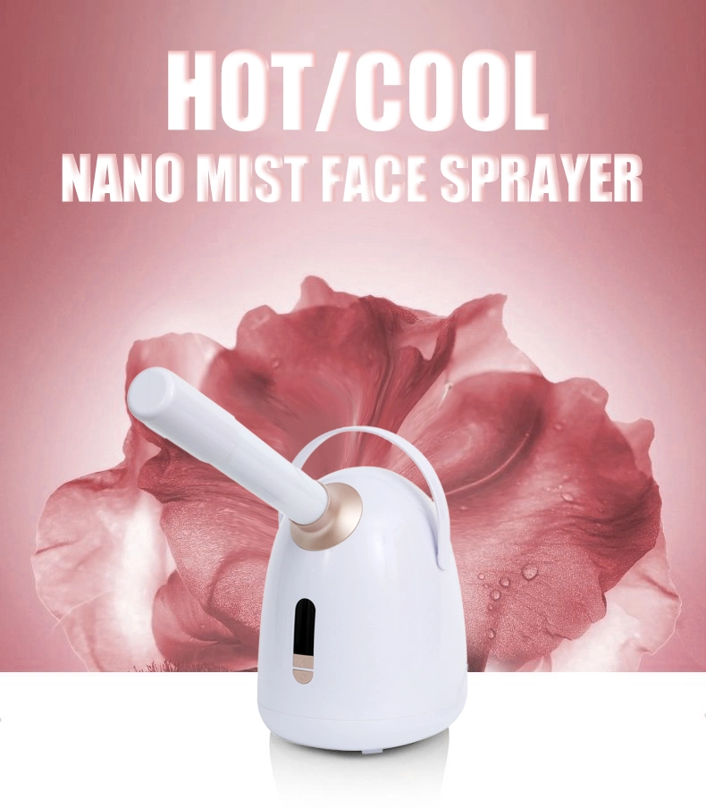 Hot Selling Face SPA Electric Skin Hydrating Face Cleansing Nano Mist Sprayer Facial Beauty Instruments