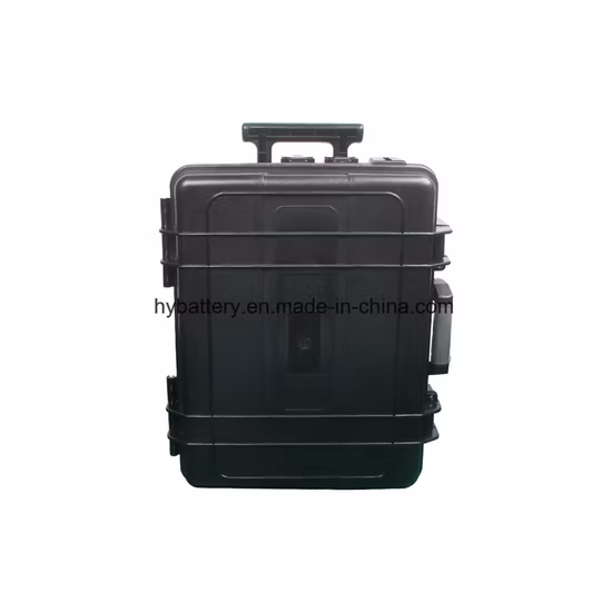 Beckoning Price Customization S High Quality 12.8V 100ah 1200wh Rechargeable Portable Energy Storage Power Supply